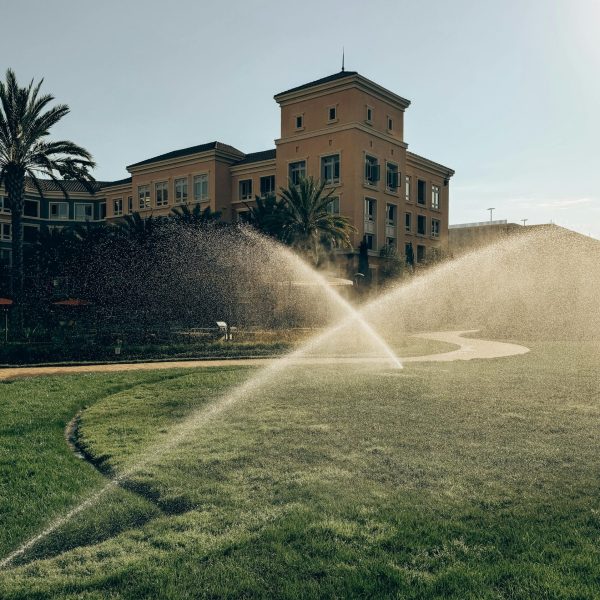 pexels-photo-27443421-27443421 Sprinklers Watering Lawn at Palace